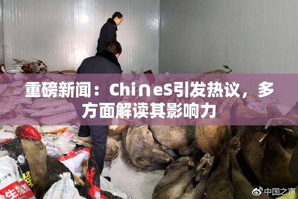 重磅新闻：Chi∩eS引发热议，多方面解读其影响力