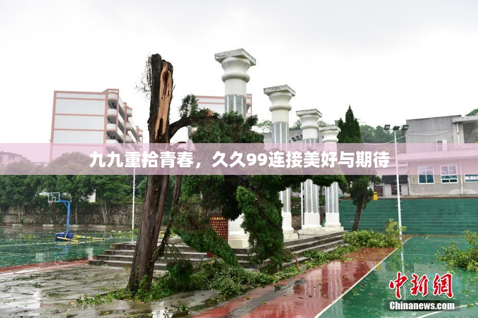 九九重拾青春，久久99连接美好与期待