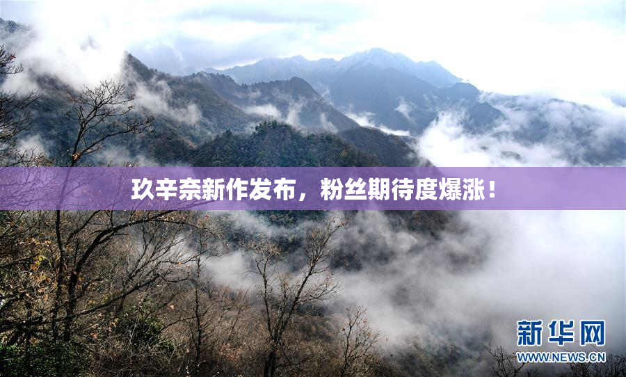 玖辛奈新作发布，粉丝期待度爆涨！