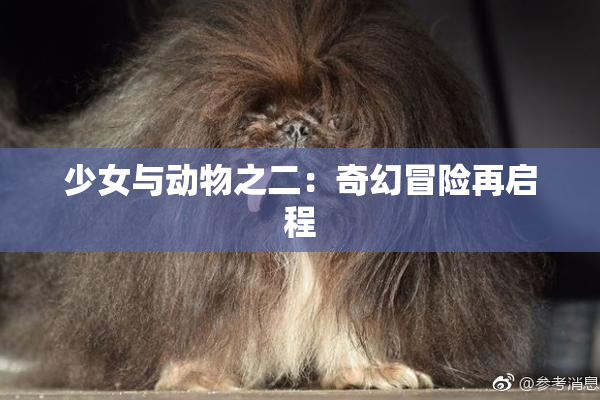 少女与动物之二：奇幻冒险再启程