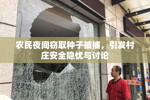 农民夜间窃取种子被捕，引发村庄安全隐忧与讨论