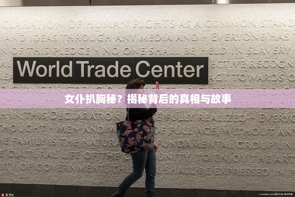 女仆扒胸秘？揭秘背后的真相与故事
