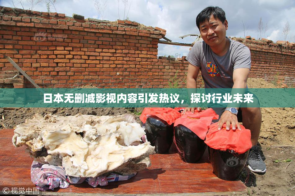 日本无删减影视内容引发热议，探讨行业未来