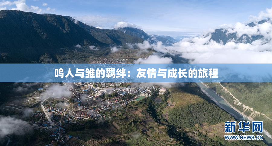 鸣人与雏的羁绊：友情与成长的旅程