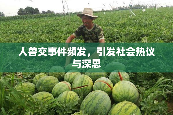 人兽交事件频发，引发社会热议与深思