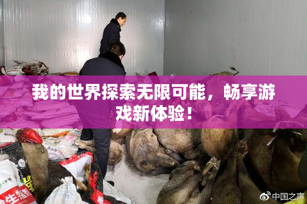 我的世界探索无限可能，畅享游戏新体验！