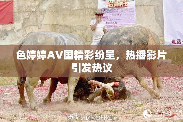 色婷婷AV国精彩纷呈，热播影片引发热议