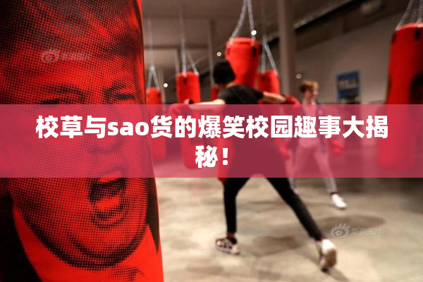 校草与sao货的爆笑校园趣事大揭秘！