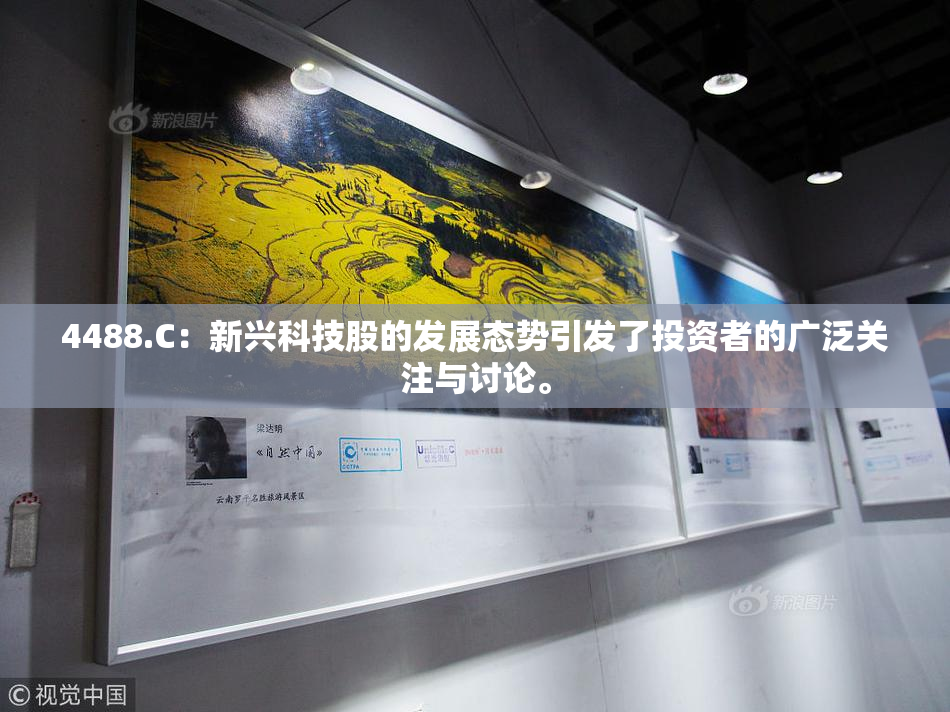 4488.C：新兴科技股的发展态势引发了投资者的广泛关注与讨论。