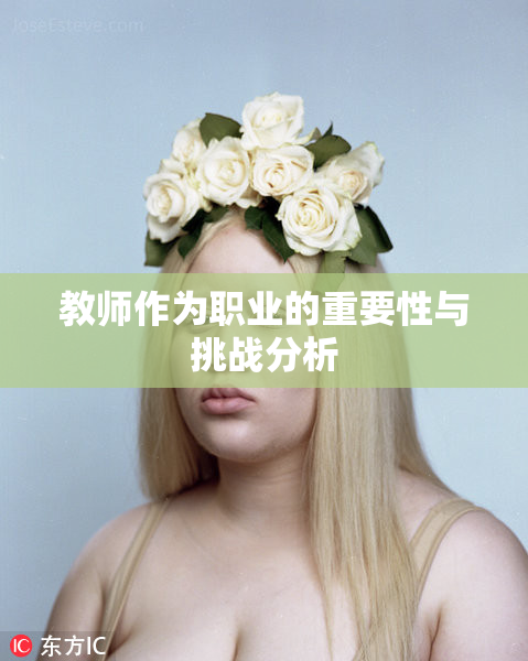 教师作为职业的重要性与挑战分析