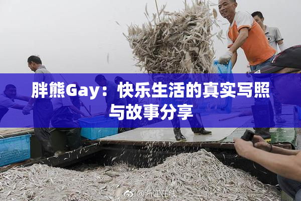 胖熊Gay：快乐生活的真实写照与故事分享