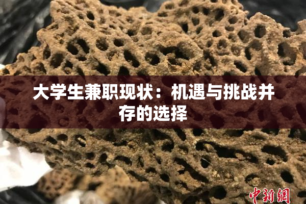 大学生兼职现状：机遇与挑战并存的选择