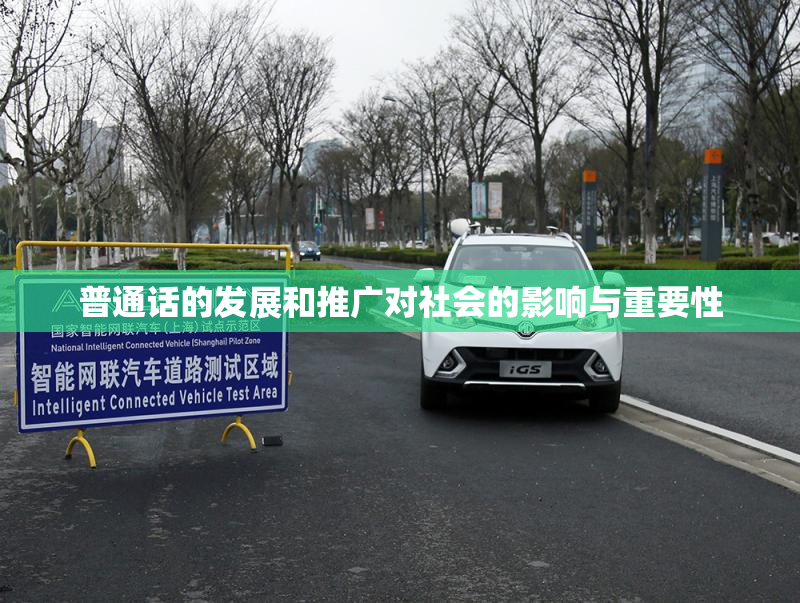 普通话的发展和推广对社会的影响与重要性