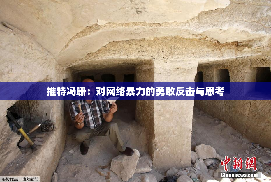 推特冯珊：对网络暴力的勇敢反击与思考