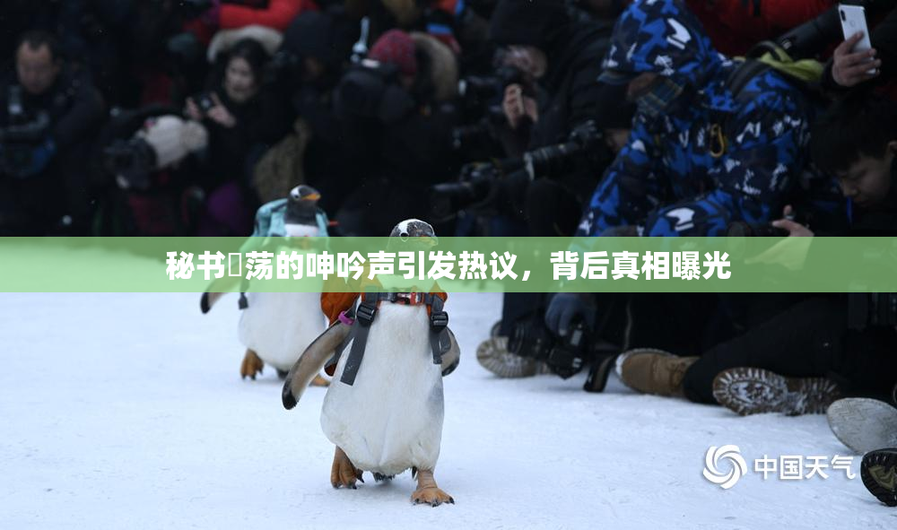 秘书婬荡的呻吟声引发热议，背后真相曝光