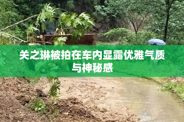 关之琳被拍在车内显露优雅气质与神秘感