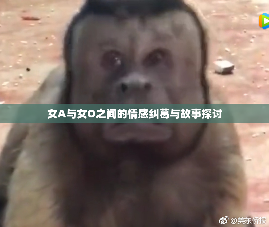 女A与女O之间的情感纠葛与故事探讨