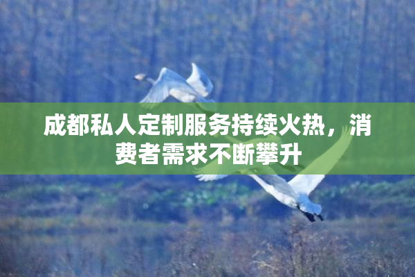 成都私人定制服务持续火热，消费者需求不断攀升