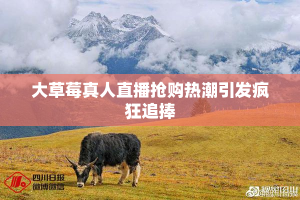 大草莓真人直播抢购热潮引发疯狂追捧
