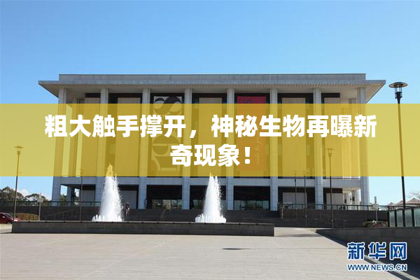 粗大触手撑开，神秘生物再曝新奇现象！