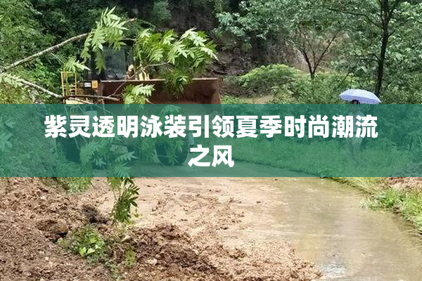 紫灵透明泳装引领夏季时尚潮流之风