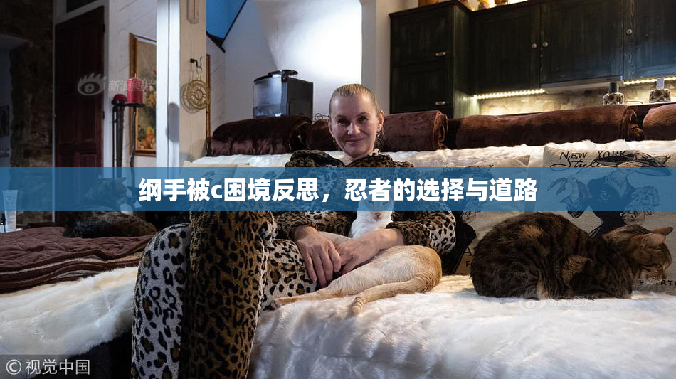 纲手被c困境反思，忍者的选择与道路