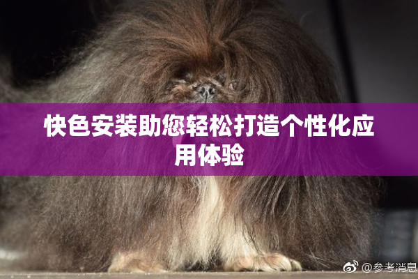 快色安装助您轻松打造个性化应用体验