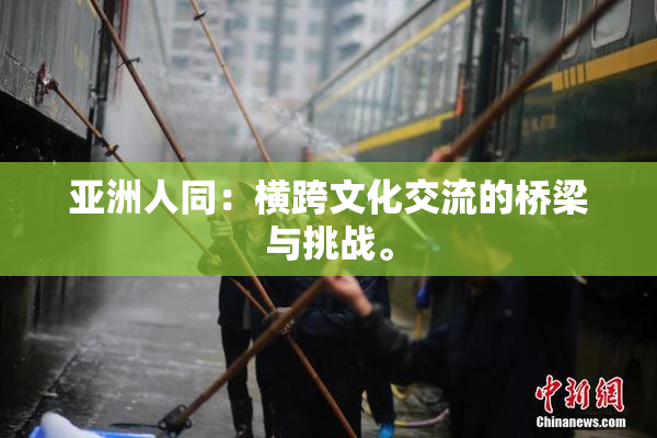 亚洲人同：横跨文化交流的桥梁与挑战。