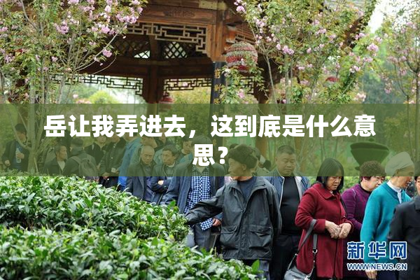 岳让我弄进去，这到底是什么意思？