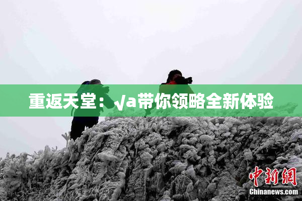 重返天堂：√a带你领略全新体验