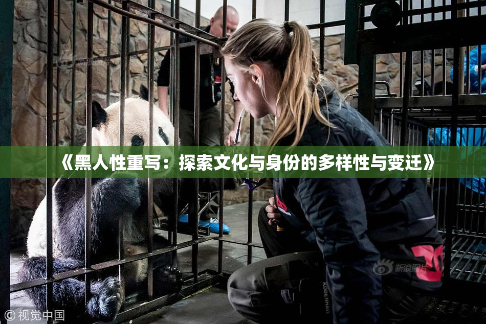 《黑人性重写：探索文化与身份的多样性与变迁》
