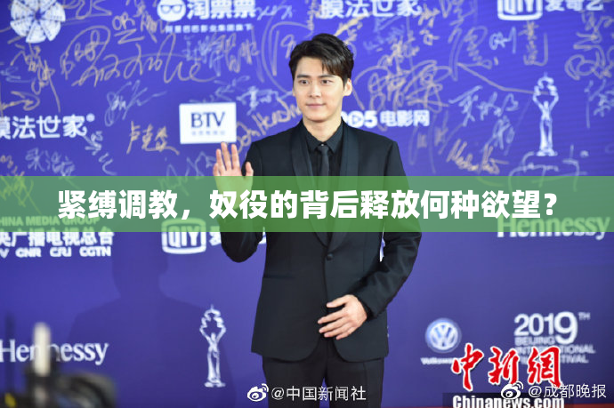 紧缚调教，奴役的背后释放何种欲望？