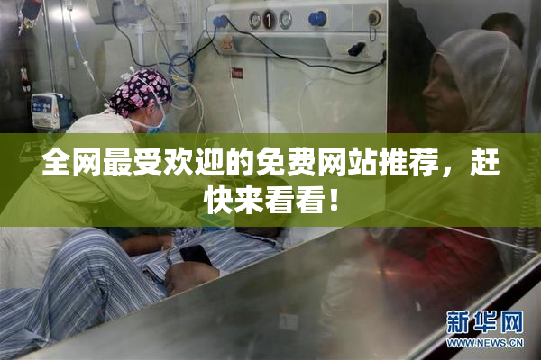全网最受欢迎的免费网站推荐，赶快来看看！