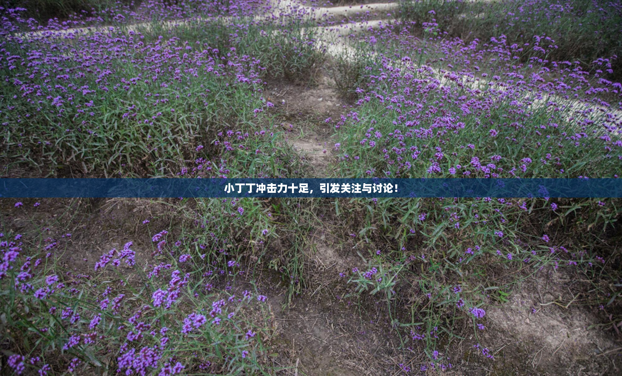 小丁丁冲击力十足，引发关注与讨论！