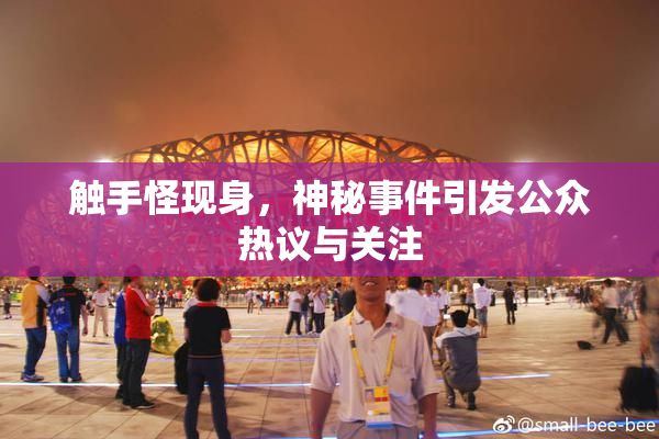 触手怪现身，神秘事件引发公众热议与关注
