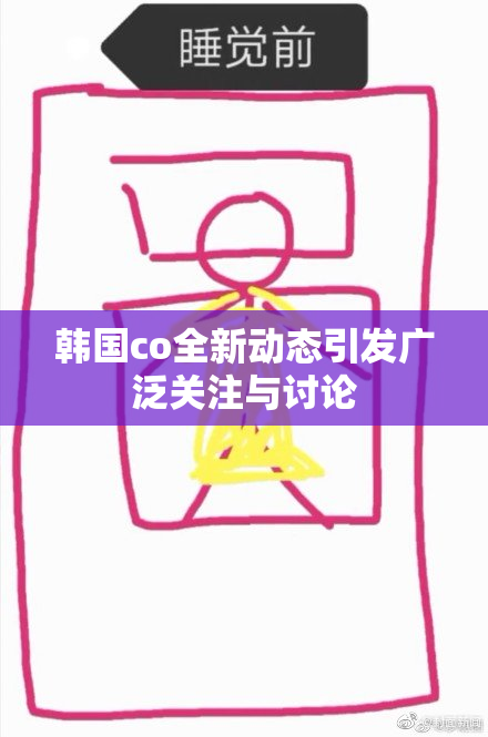 韩国co全新动态引发广泛关注与讨论