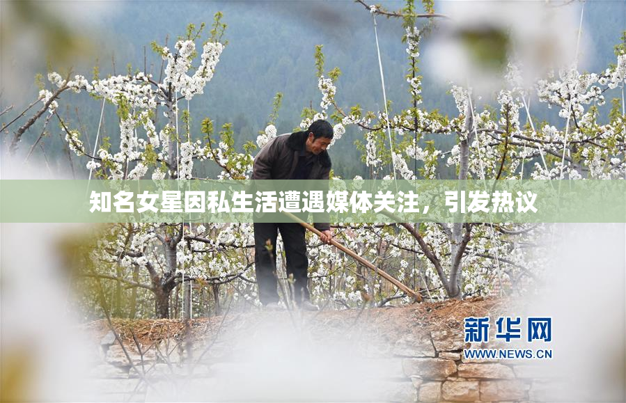 知名女星因私生活遭遇媒体关注，引发热议