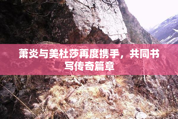 萧炎与美杜莎再度携手，共同书写传奇篇章