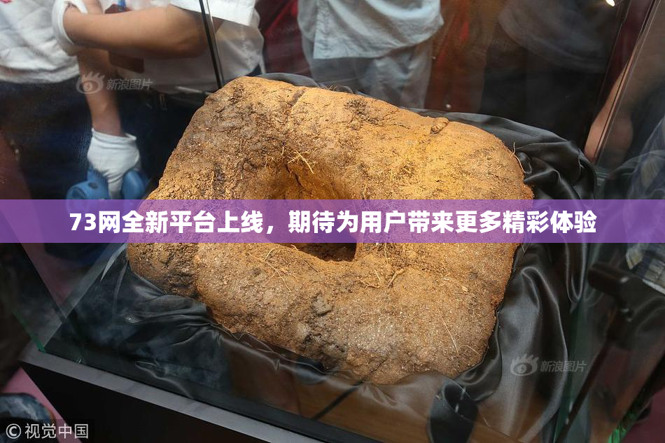 73网全新平台上线，期待为用户带来更多精彩体验