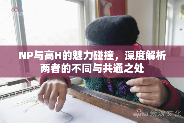 NP与高H的魅力碰撞，深度解析两者的不同与共通之处