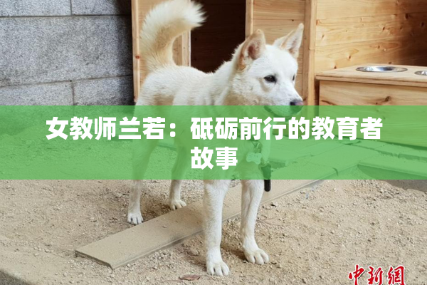 女教师兰若：砥砺前行的教育者故事
