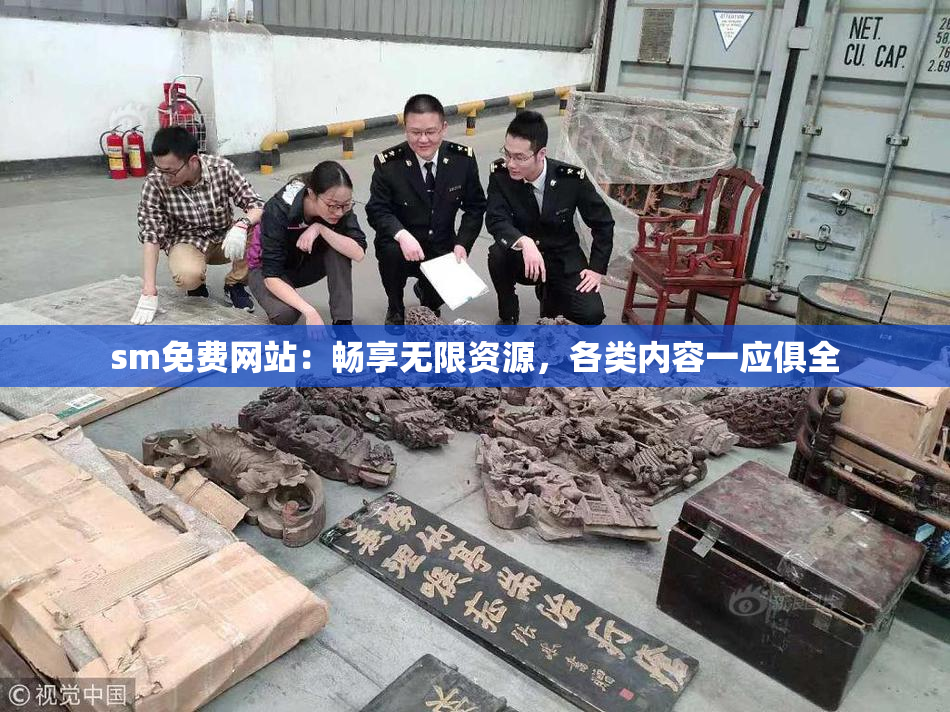 sm免费网站：畅享无限资源，各类内容一应俱全