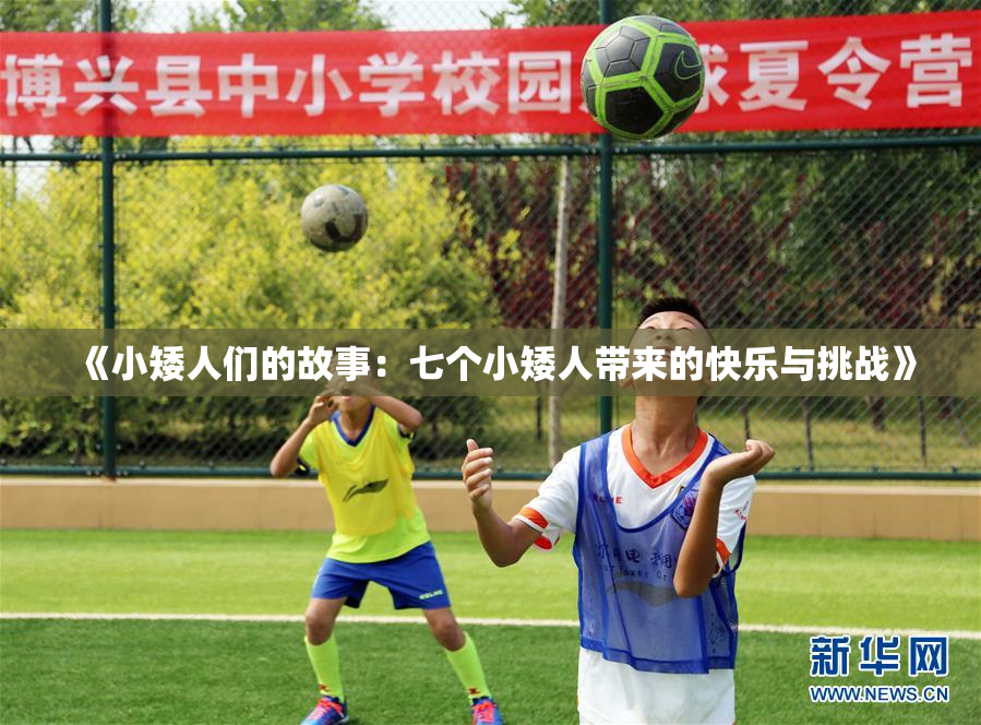 《小矮人们的故事：七个小矮人带来的快乐与挑战》
