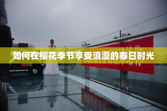 如何在樱花季节享受浪漫的春日时光