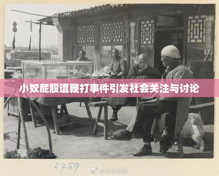 小奴屁股遭鞭打事件引发社会关注与讨论