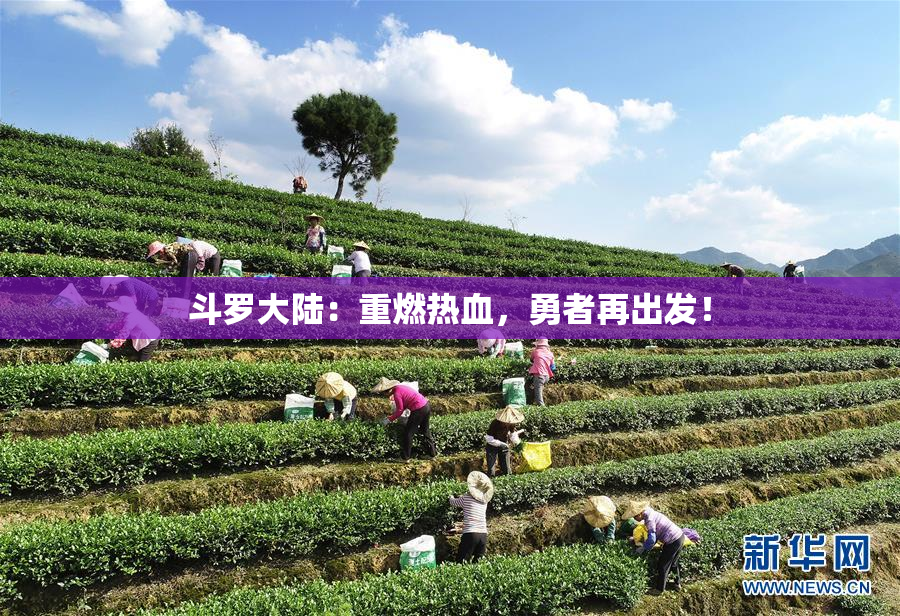 斗罗大陆：重燃热血，勇者再出发！