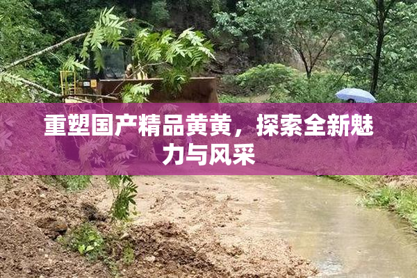 重塑国产精品黄黄，探索全新魅力与风采