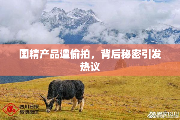 国精产品遭偷拍，背后秘密引发热议