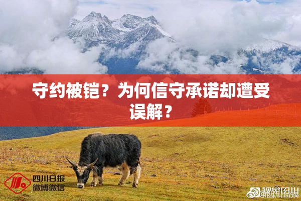 守约被铠？为何信守承诺却遭受误解？