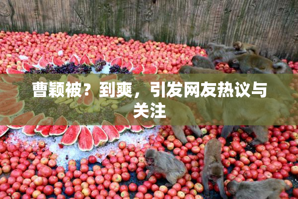 曹颖被？到爽，引发网友热议与关注